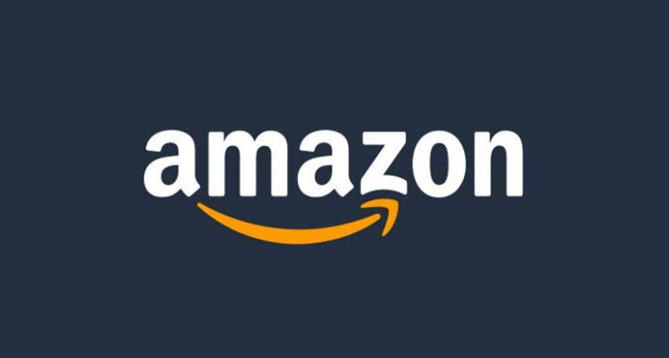 1WTD Amazon Website Lands
