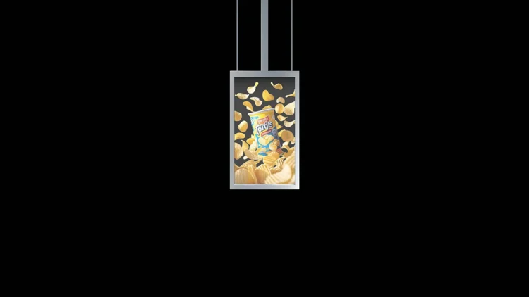 WTD-world-trade-display-OLED-Hanging-Version-OT-W-D55-T-1